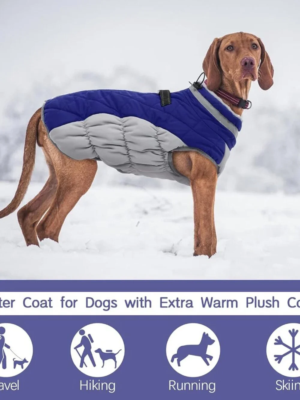 FUAMEY Dog Coat for Small Dogs